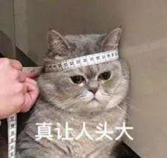無人警務(wù)自助終端落戶阜陽機場！忘帶身份證也不用急了